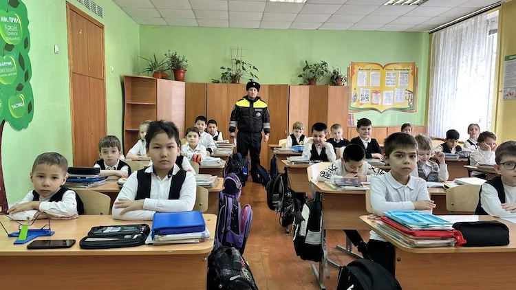 Мероприятия лицея по БДД.
