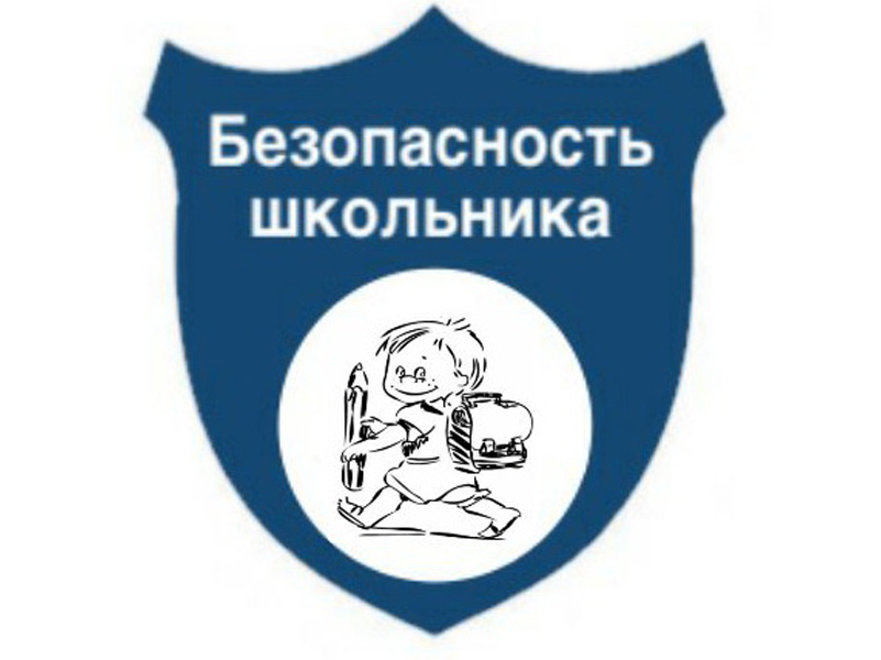 Мероприятия лицея по безопасности.